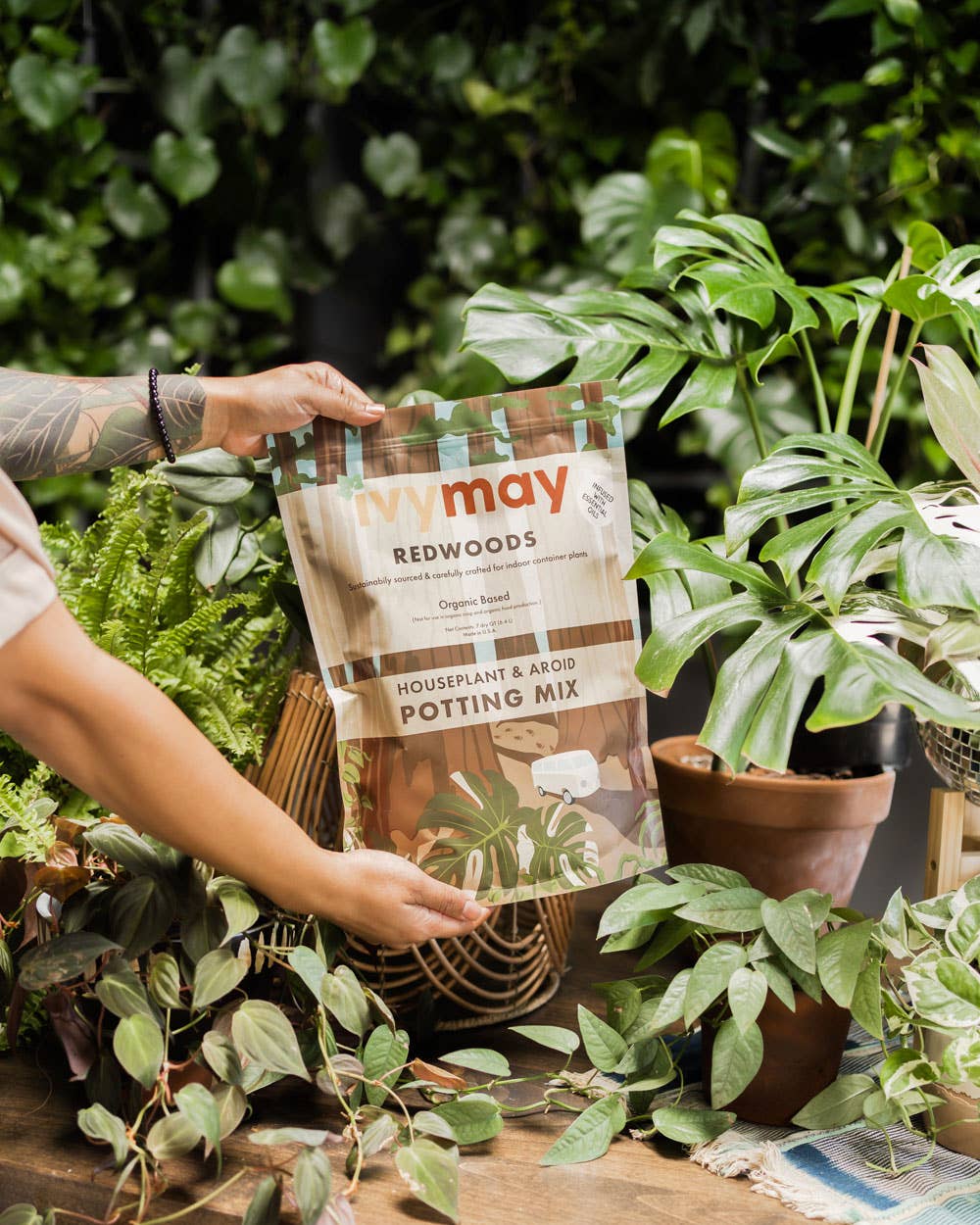 Premium Houseplant Potting Mix 4 Qt