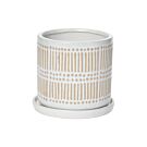 Cream with Tan Tick Design Pot with Saucer