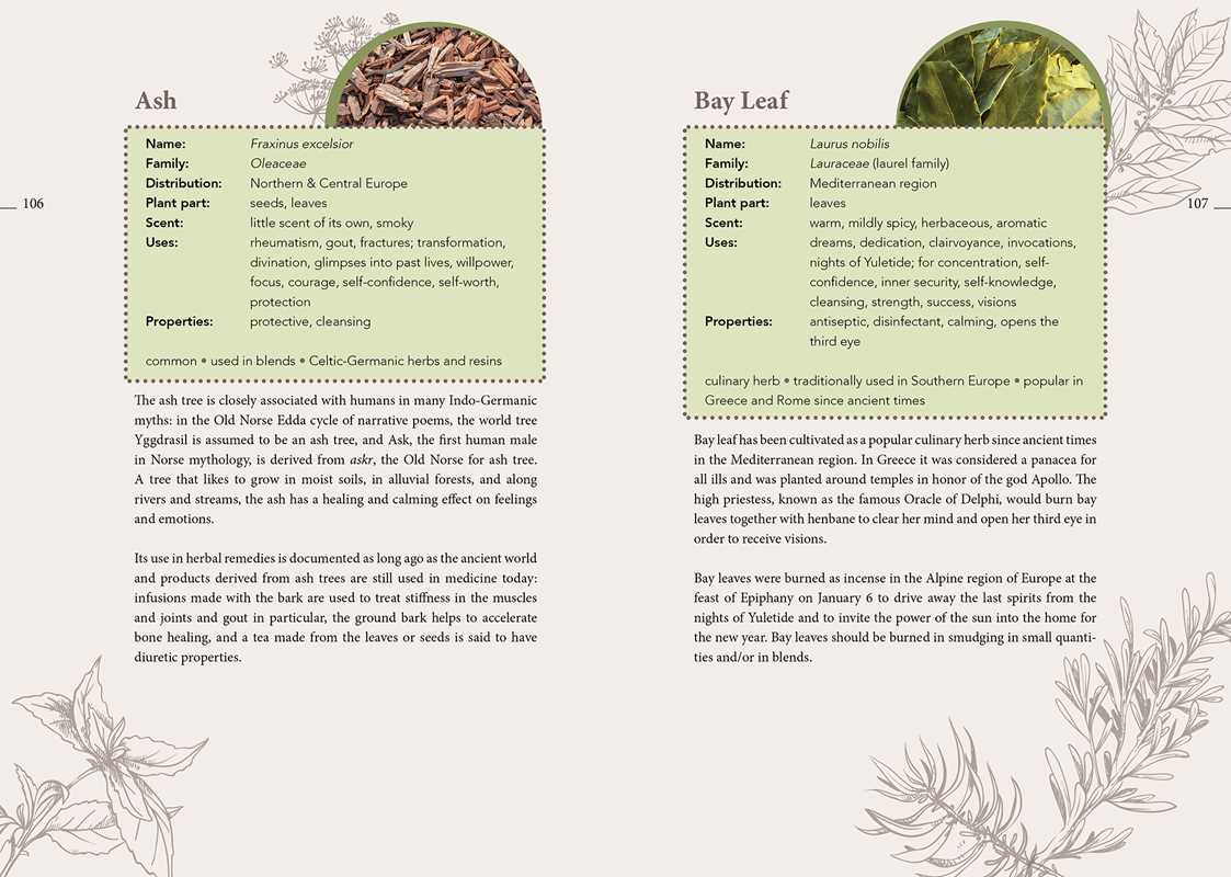 Complete Smudging Handbook