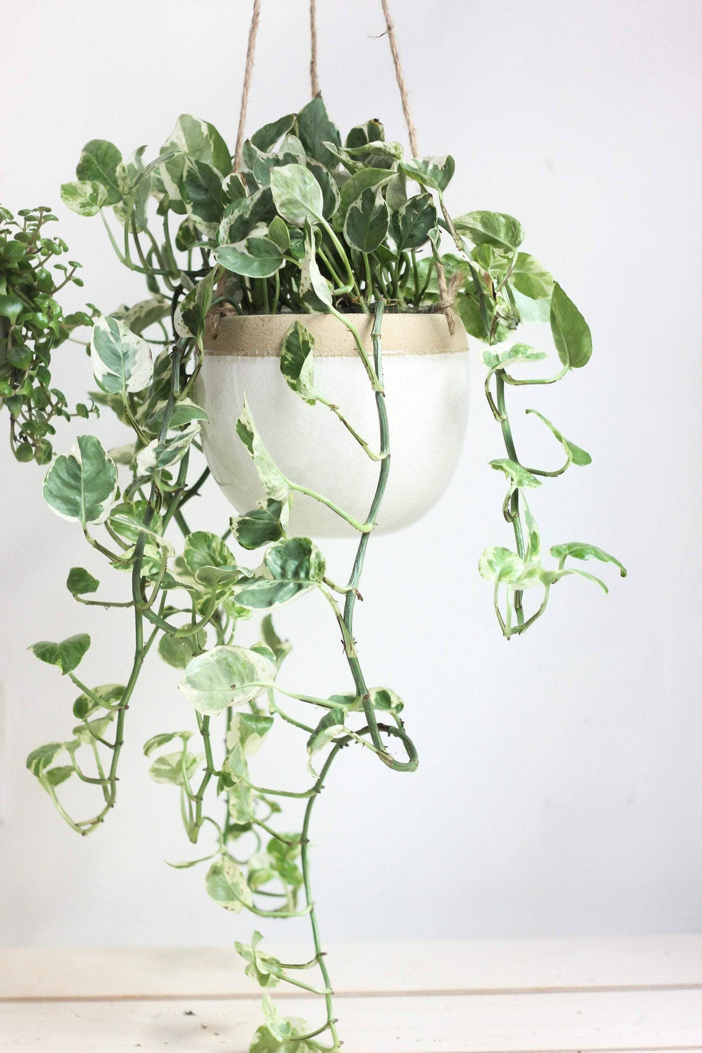 Ceramic Hanging Planter Pot White and Beige: 5"