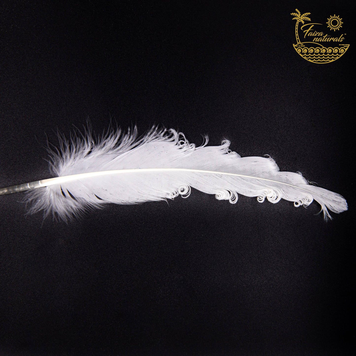 Goose Feathers- Smudging