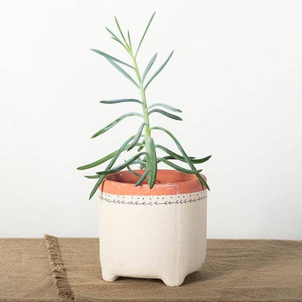 Raised Planter Coated Terracotta