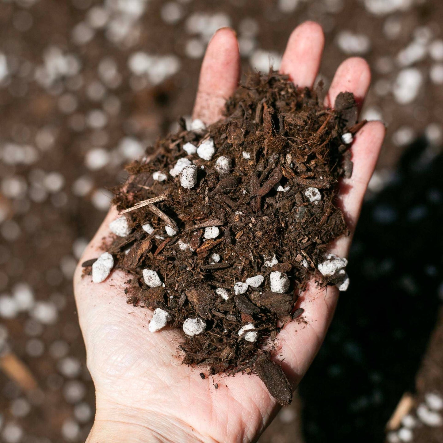 Premium Houseplant Potting Mix 4 Qt
