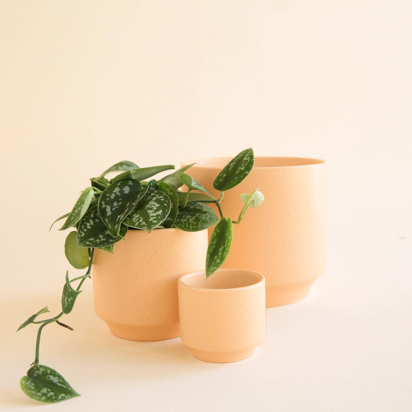Parker Planter Pot Sunset 6.75"