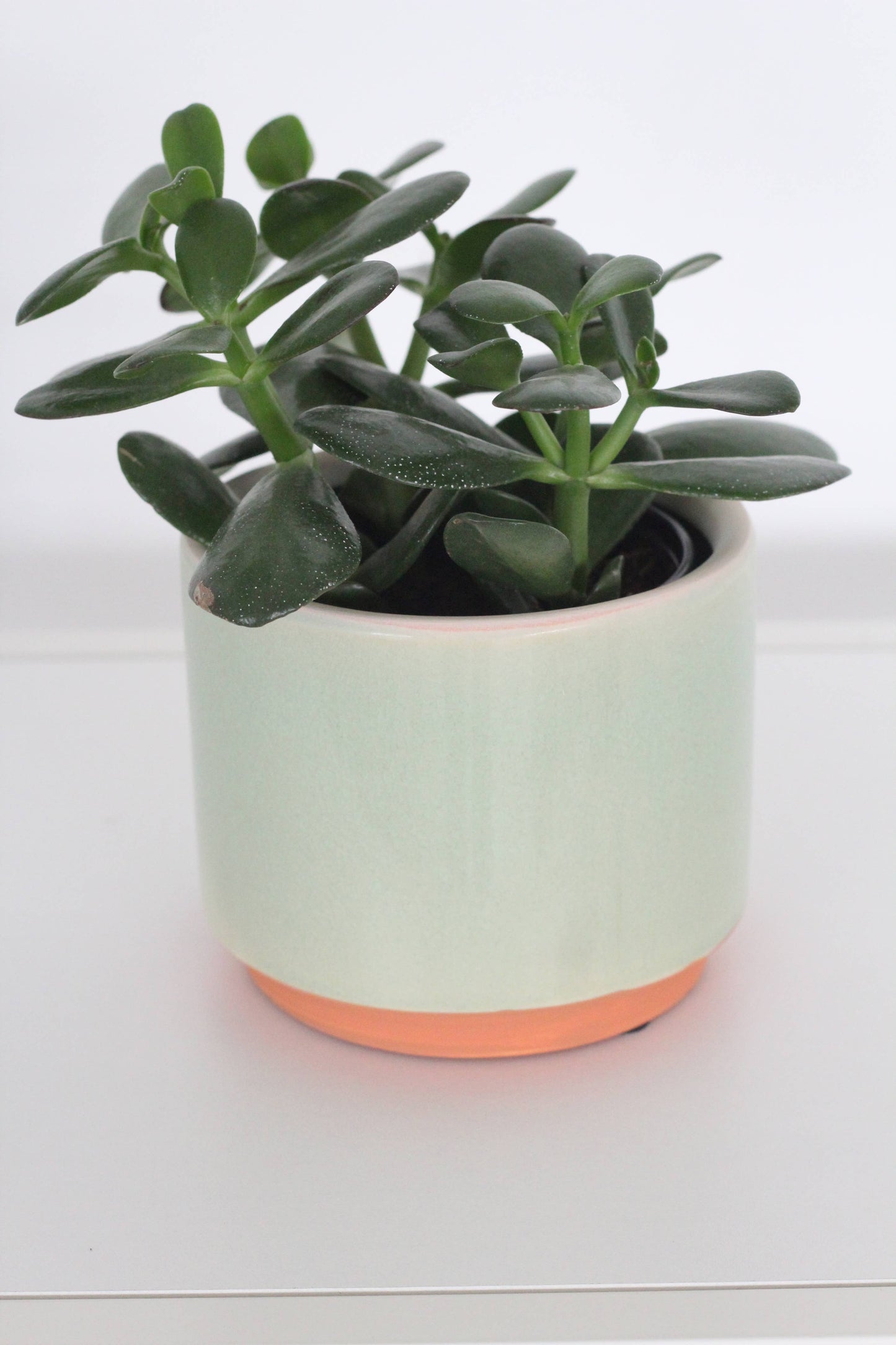 Sage Green and Terracotta Ceramic Round Planter Pot: 7.5"