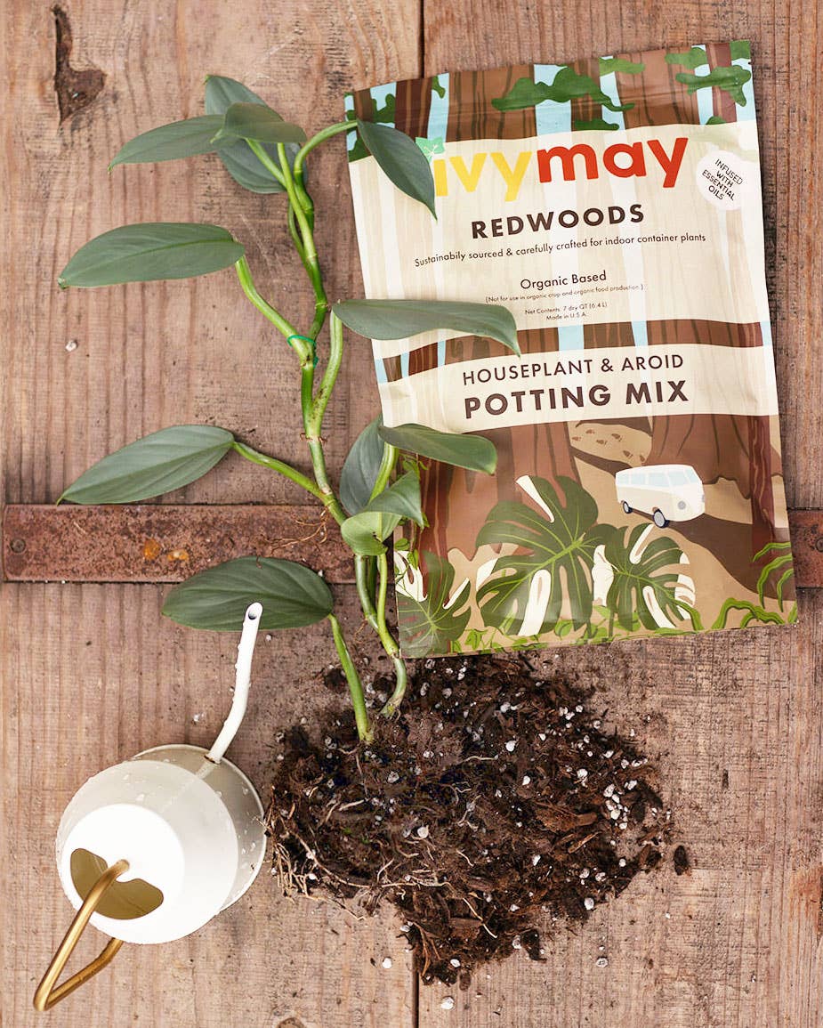 Premium Houseplant Potting Mix 4 Qt