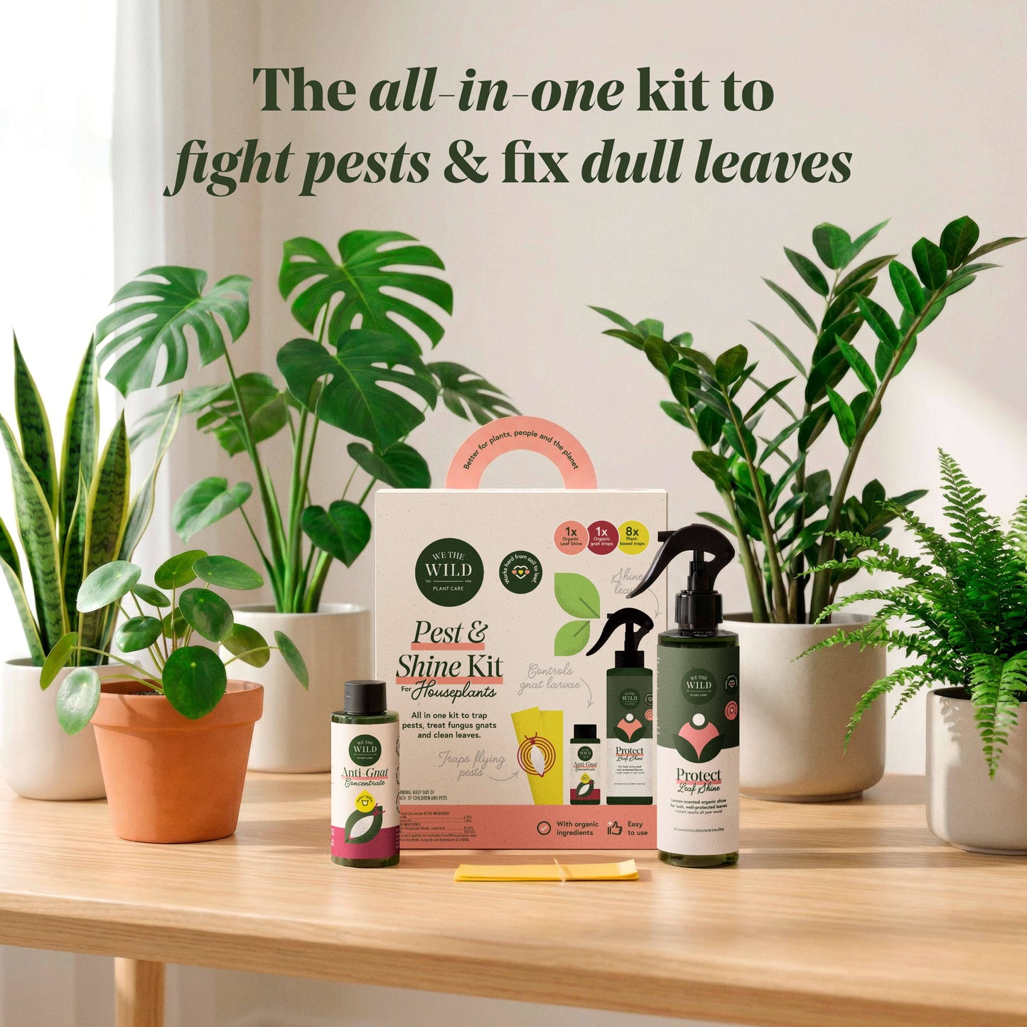 Pest & Shine Kit