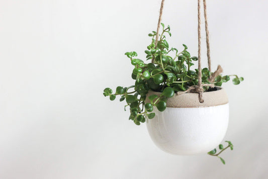 Ceramic Hanging Planter Pot White and Beige: 5"