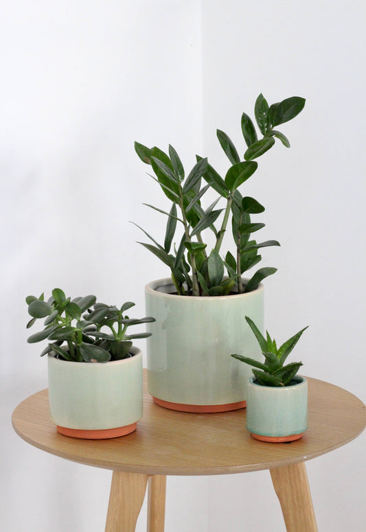 Sage Green and Terracotta Ceramic Round Planter Pot: 7.5"