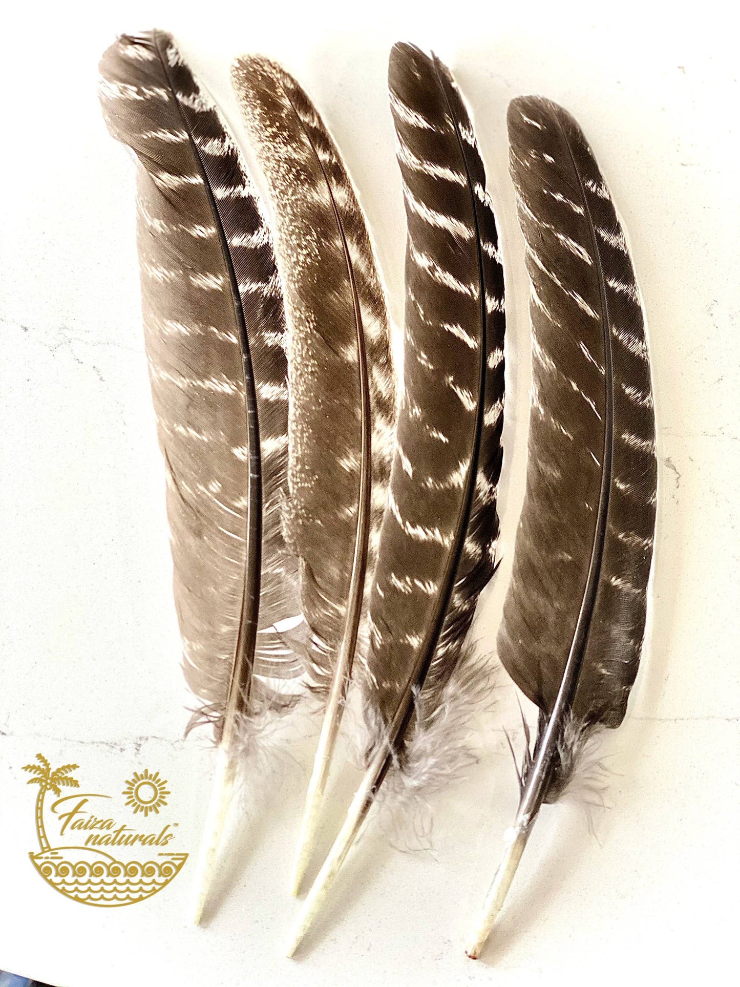 Feathers - Smudging