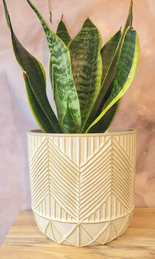 Glazed  Geometric Pattern Pot-Cream- 7"