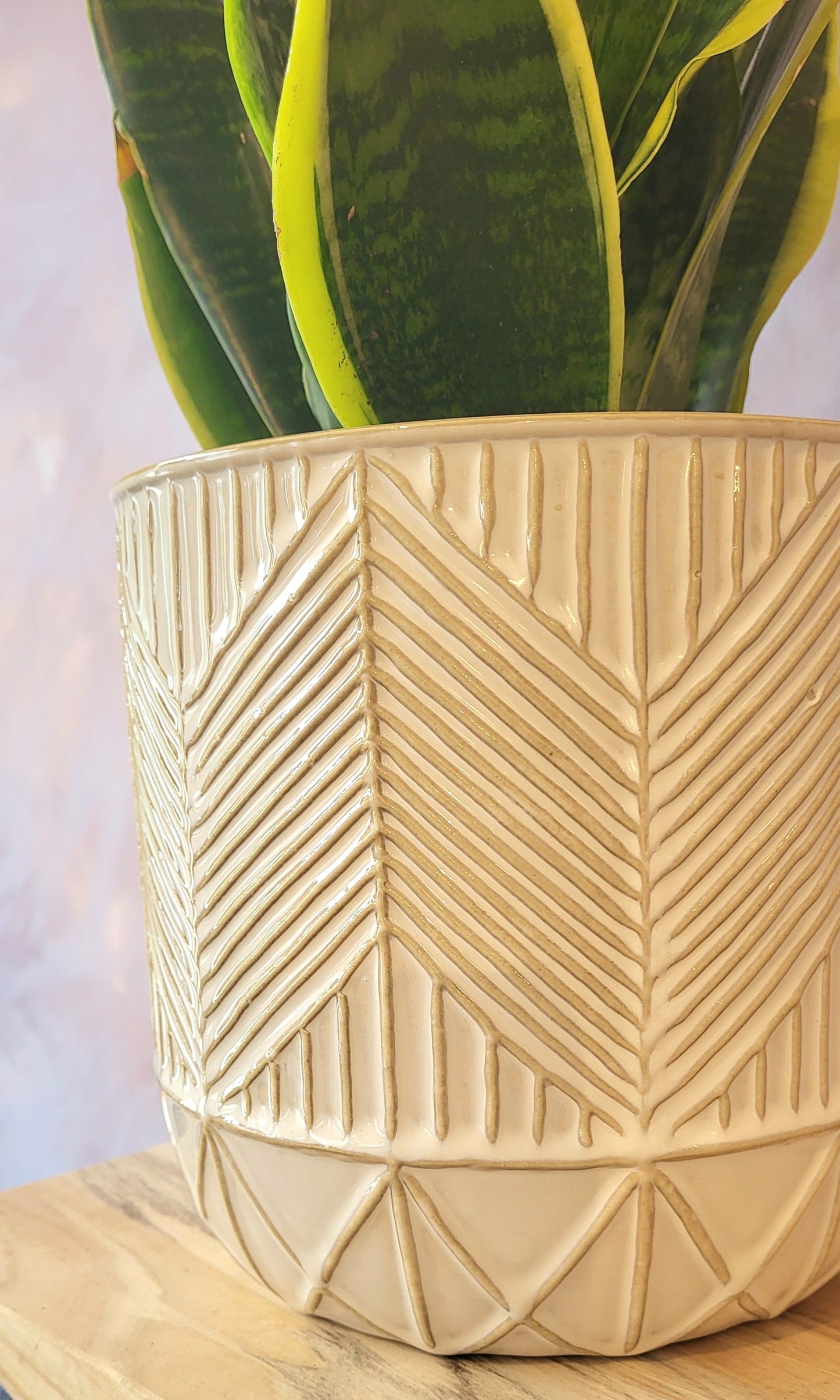 Glazed  Geometric Pattern Pot-Cream- 7"