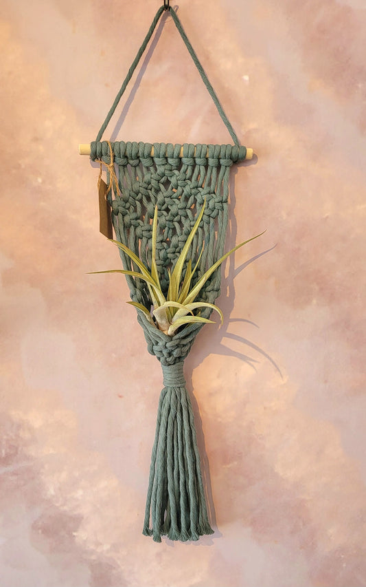 Macrame Airplant Holder-Large