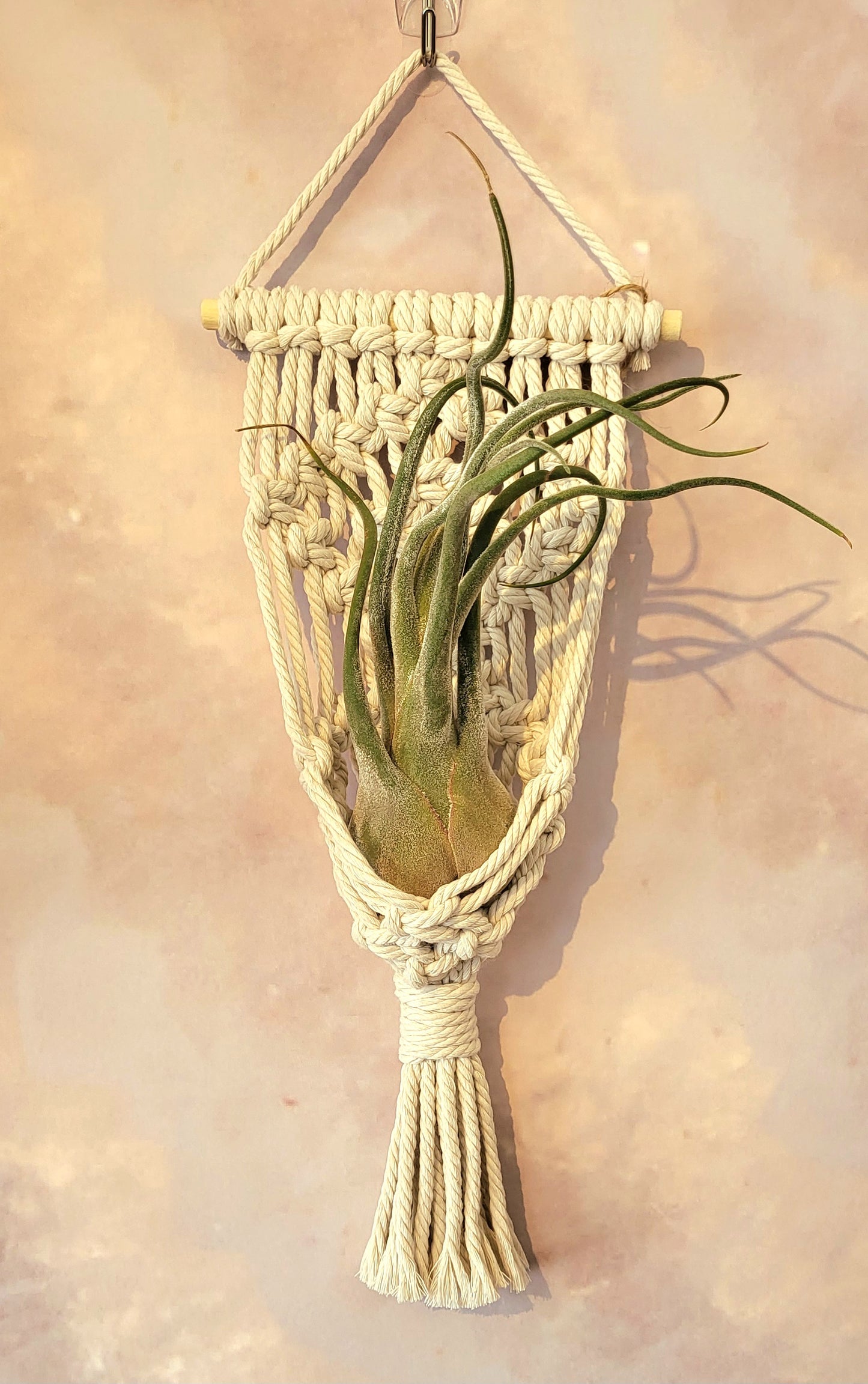 Macrame Airplant Holder-Large