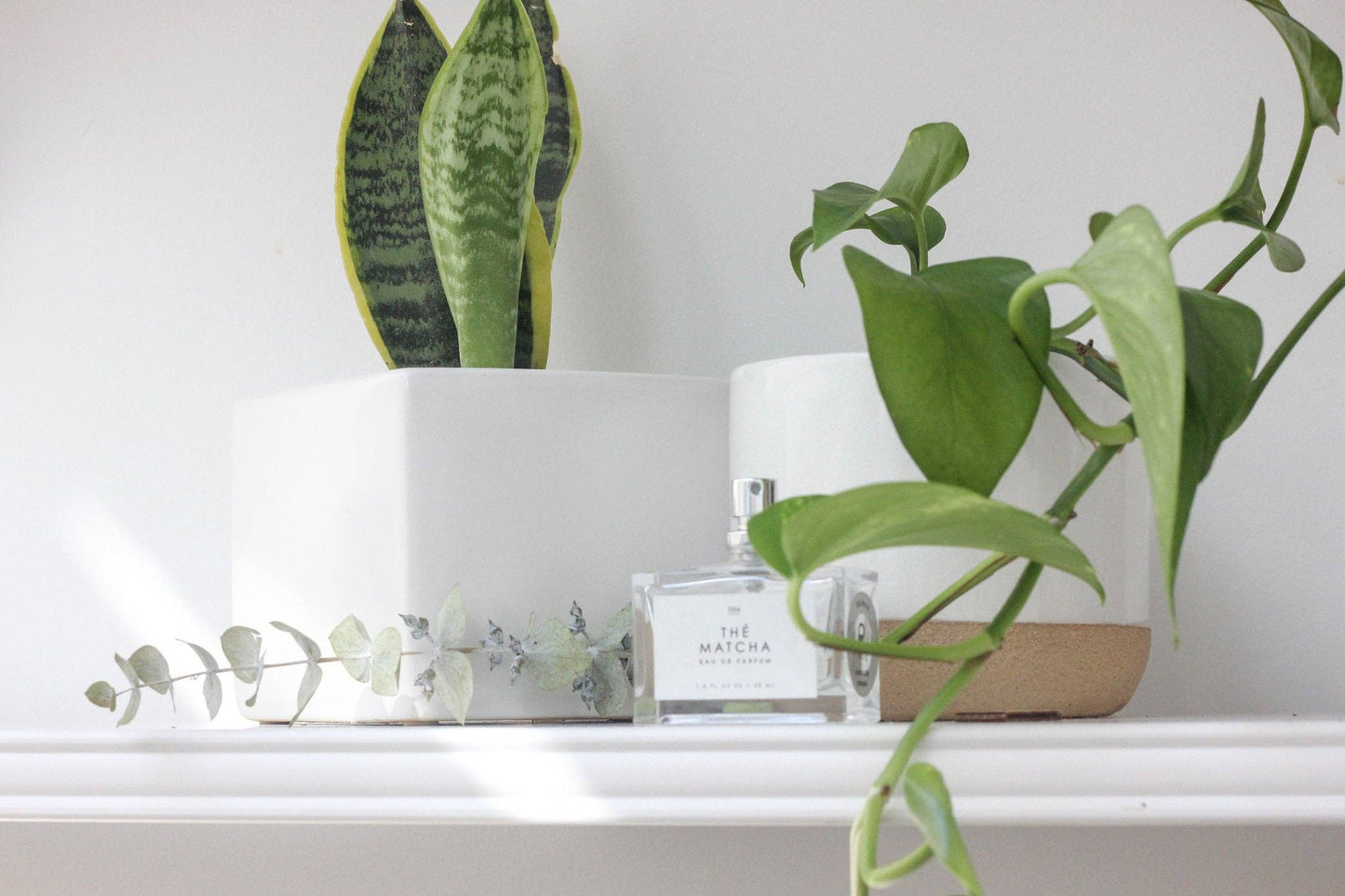 Small Ceramic Planter Pot White on Beige: 5"