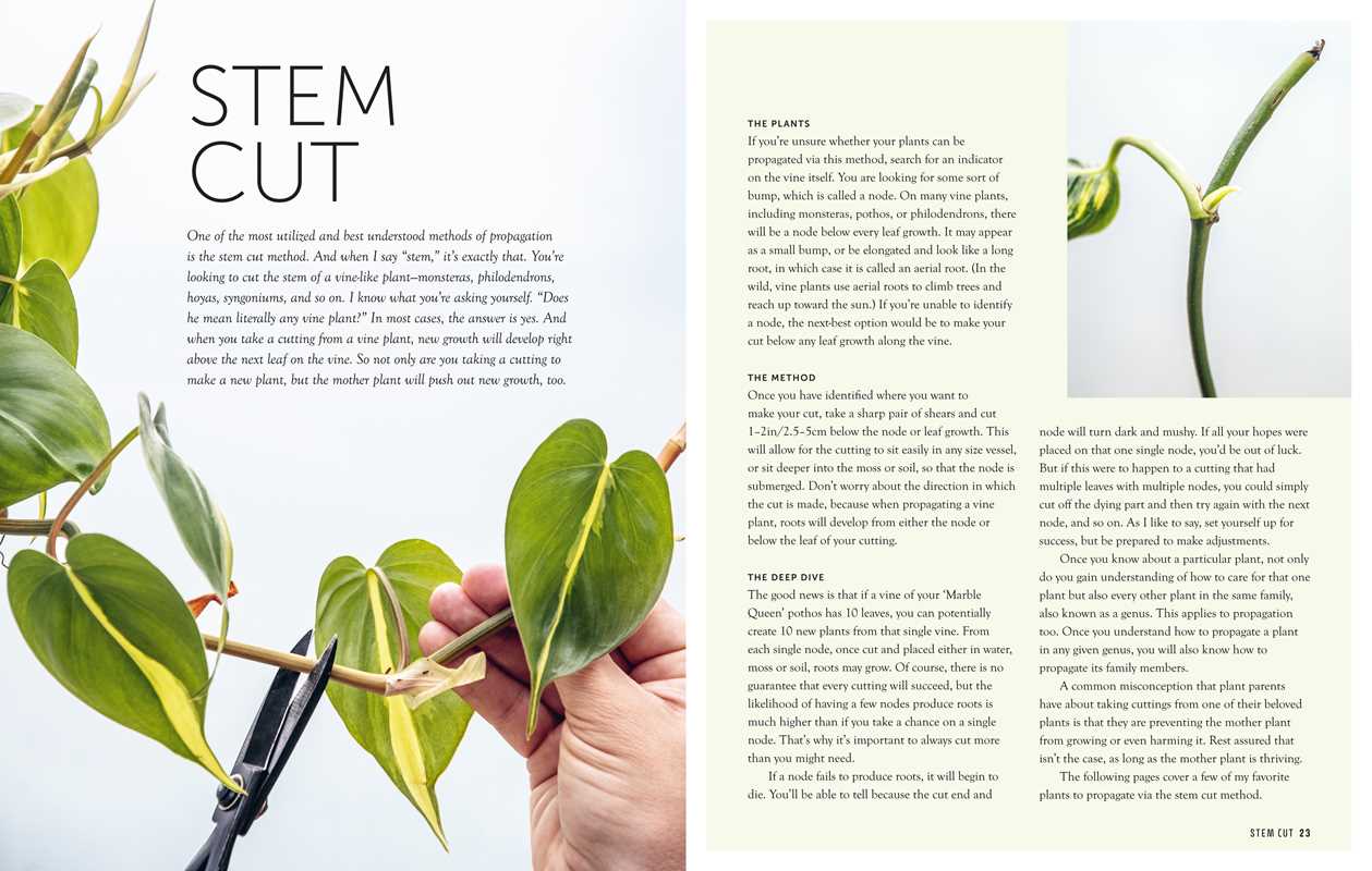 Propagation Handbook