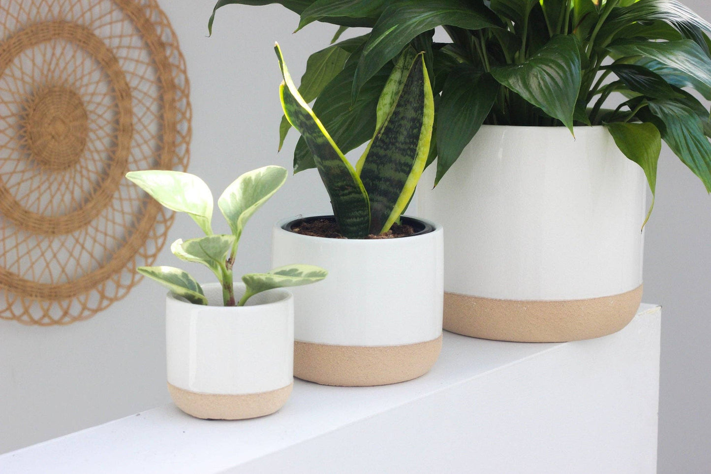 Small Ceramic Planter Pot White on Beige: 5"