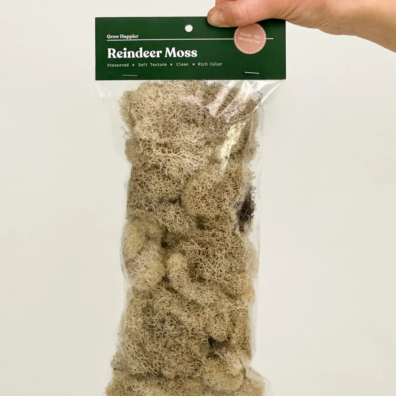 Preserved Reindeer Moss