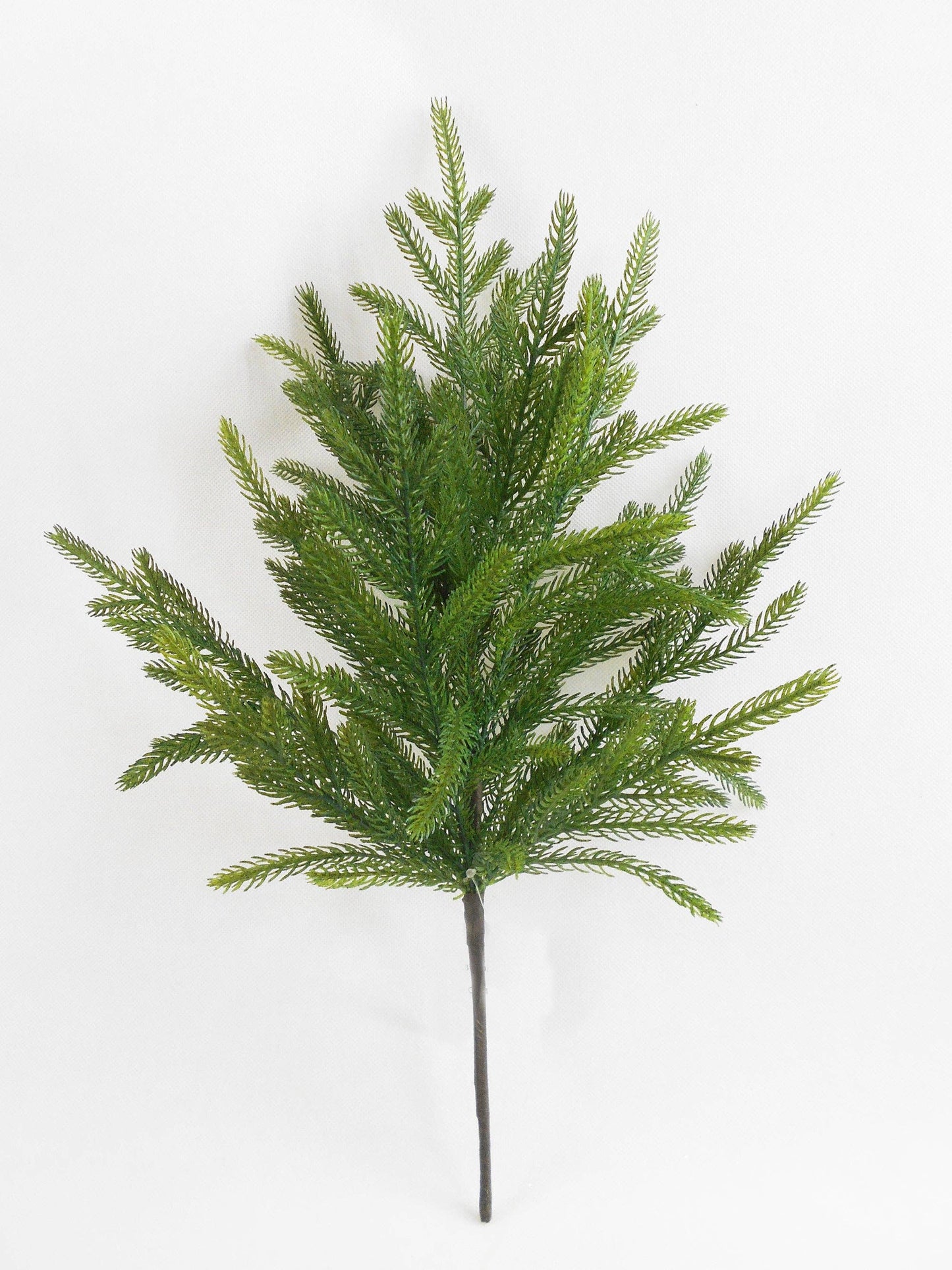 Deluxe Norfolk Pine Bush 20"