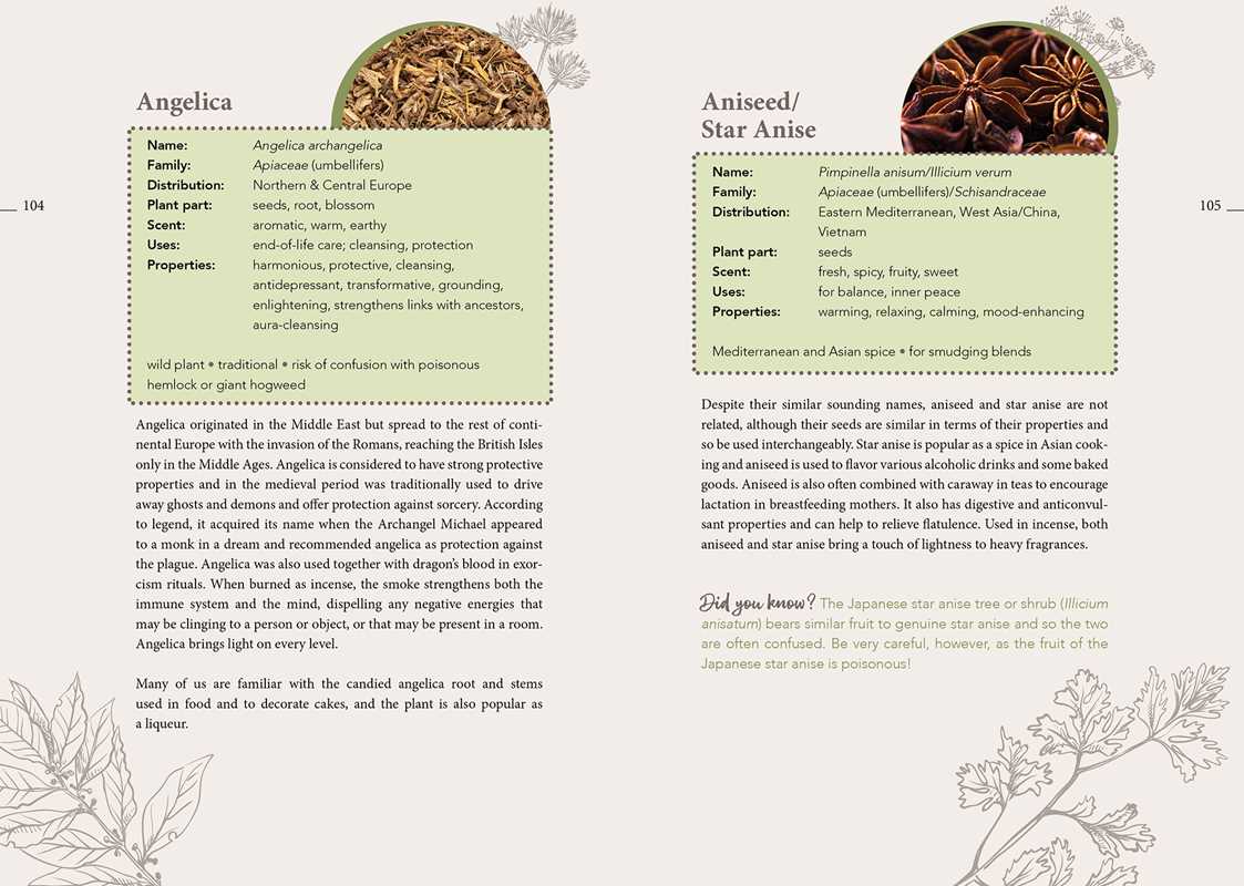 Complete Smudging Handbook