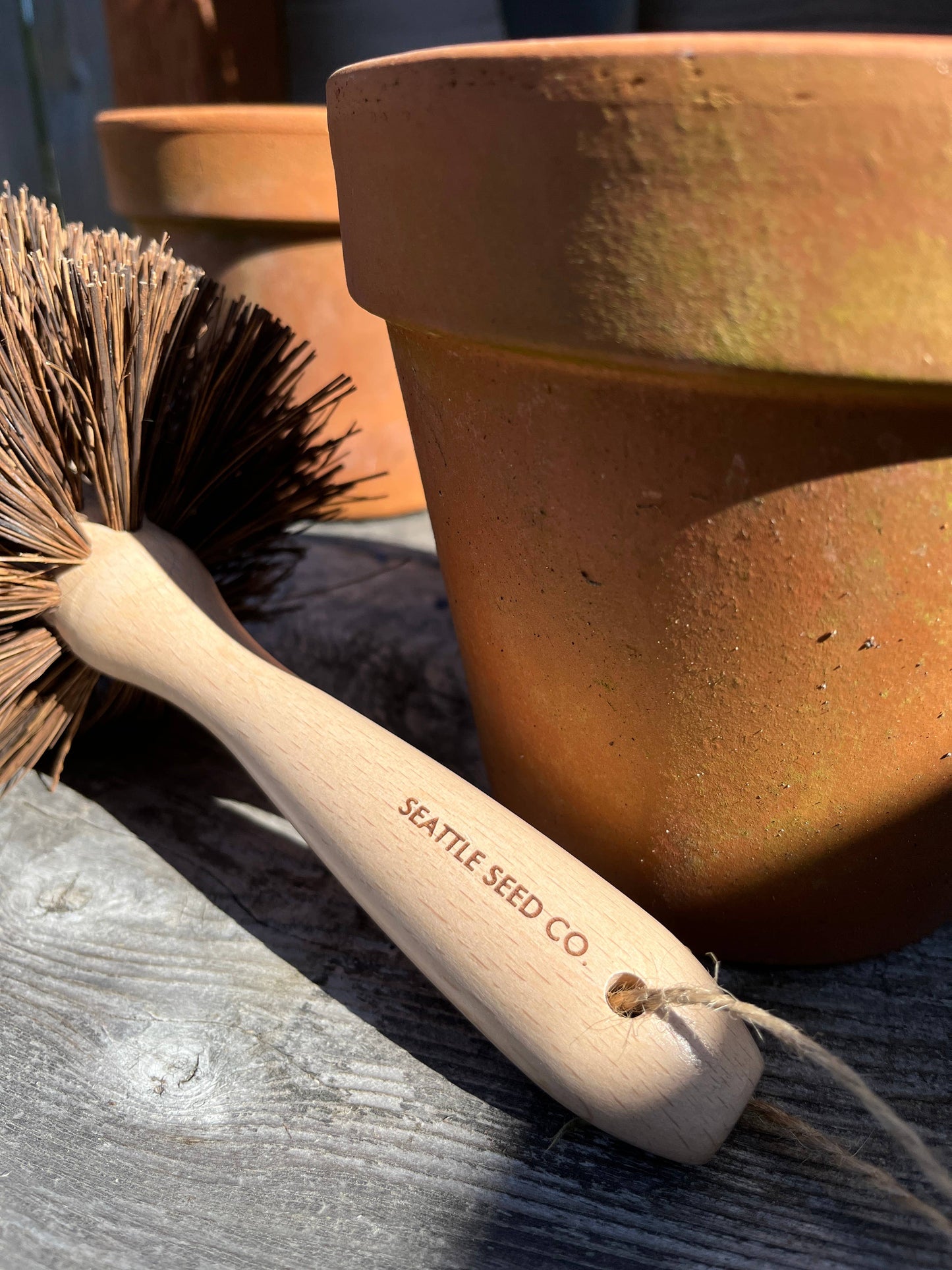 Plant Pot Cleaning Brush