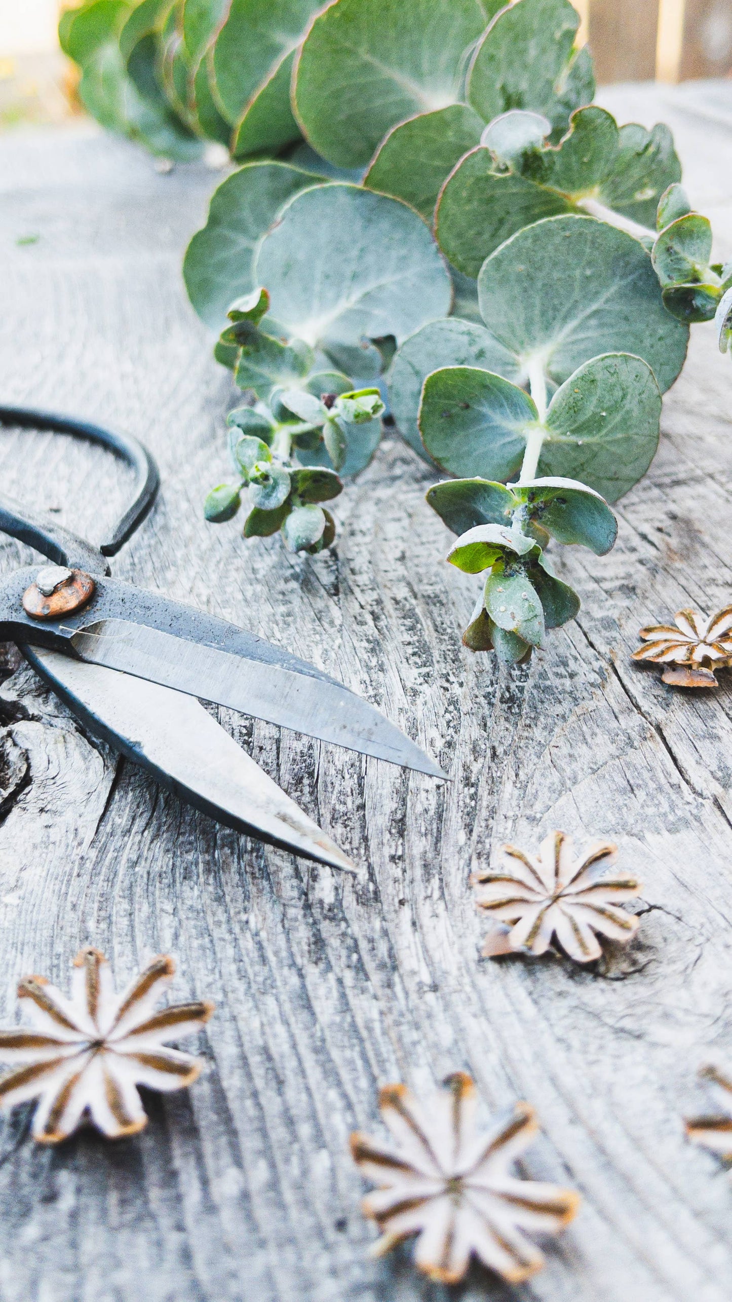 Forged Steel Pruning Shears