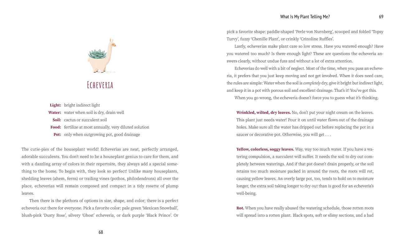 What Is My Plant Telling Me?