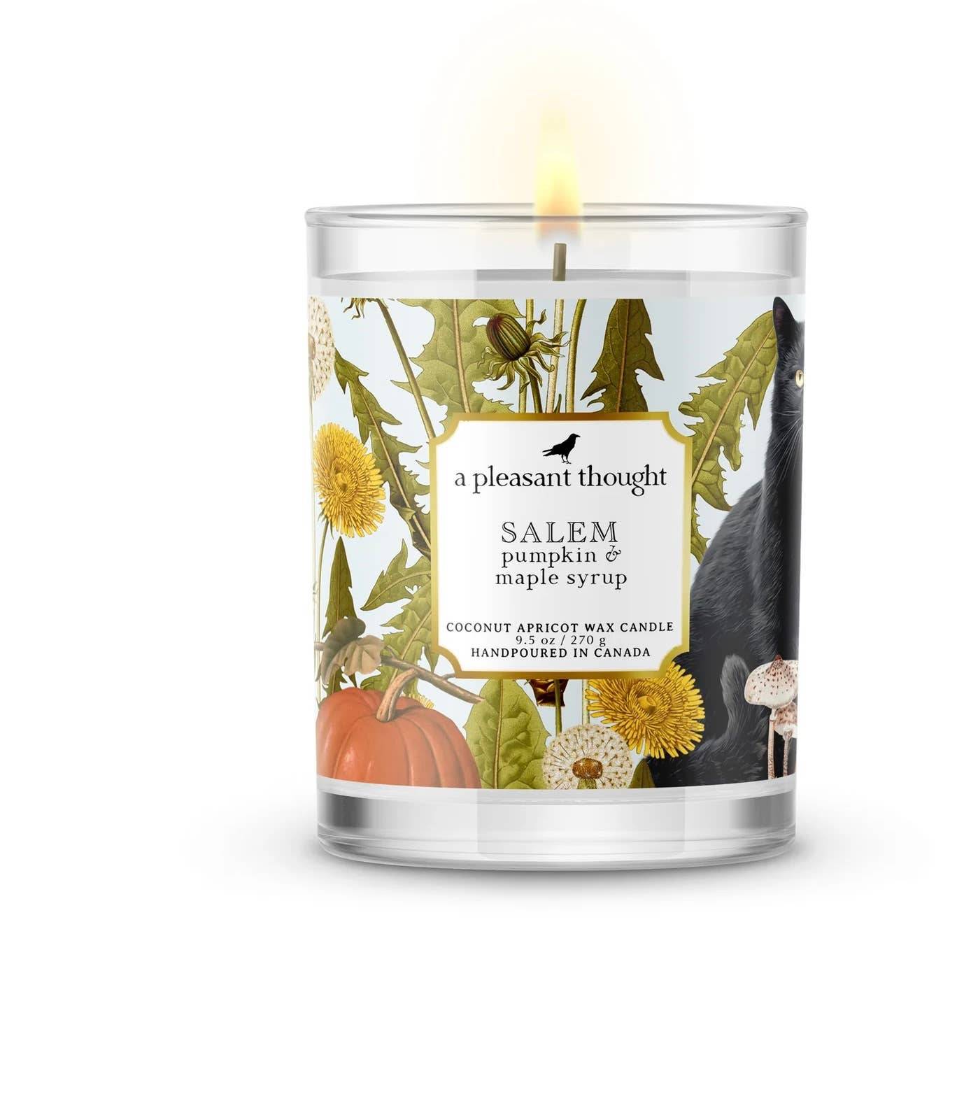 Salem Pumpkin & Cinnamon Maple Candle