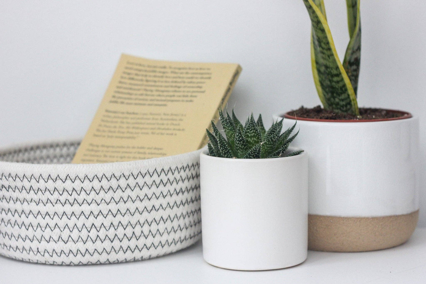 Small Ceramic Planter Pot White on Beige: 5"