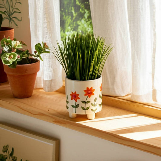 White Footed Hand Painted Planter-6"