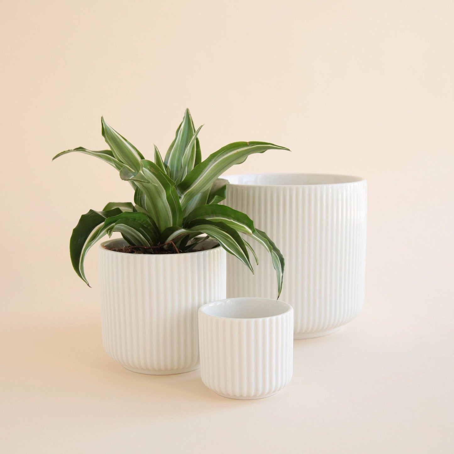 Lucy Planter Pot White 6.75"