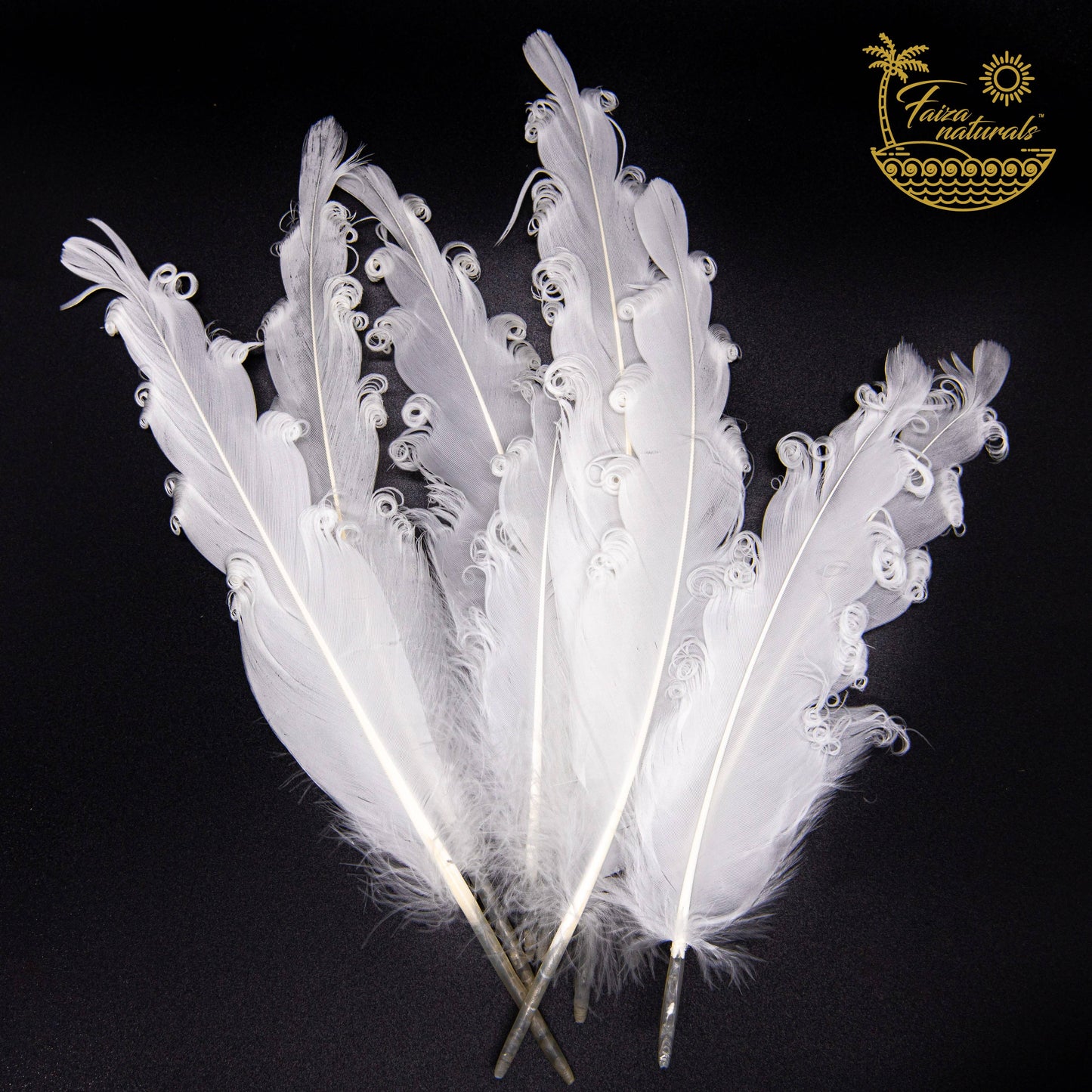 Goose Feathers- Smudging