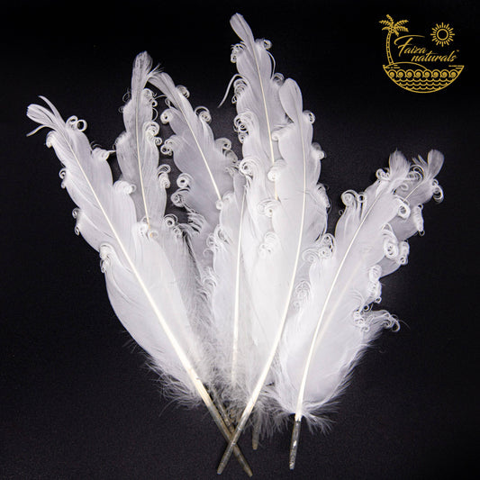 Goose Feathers- Smudging