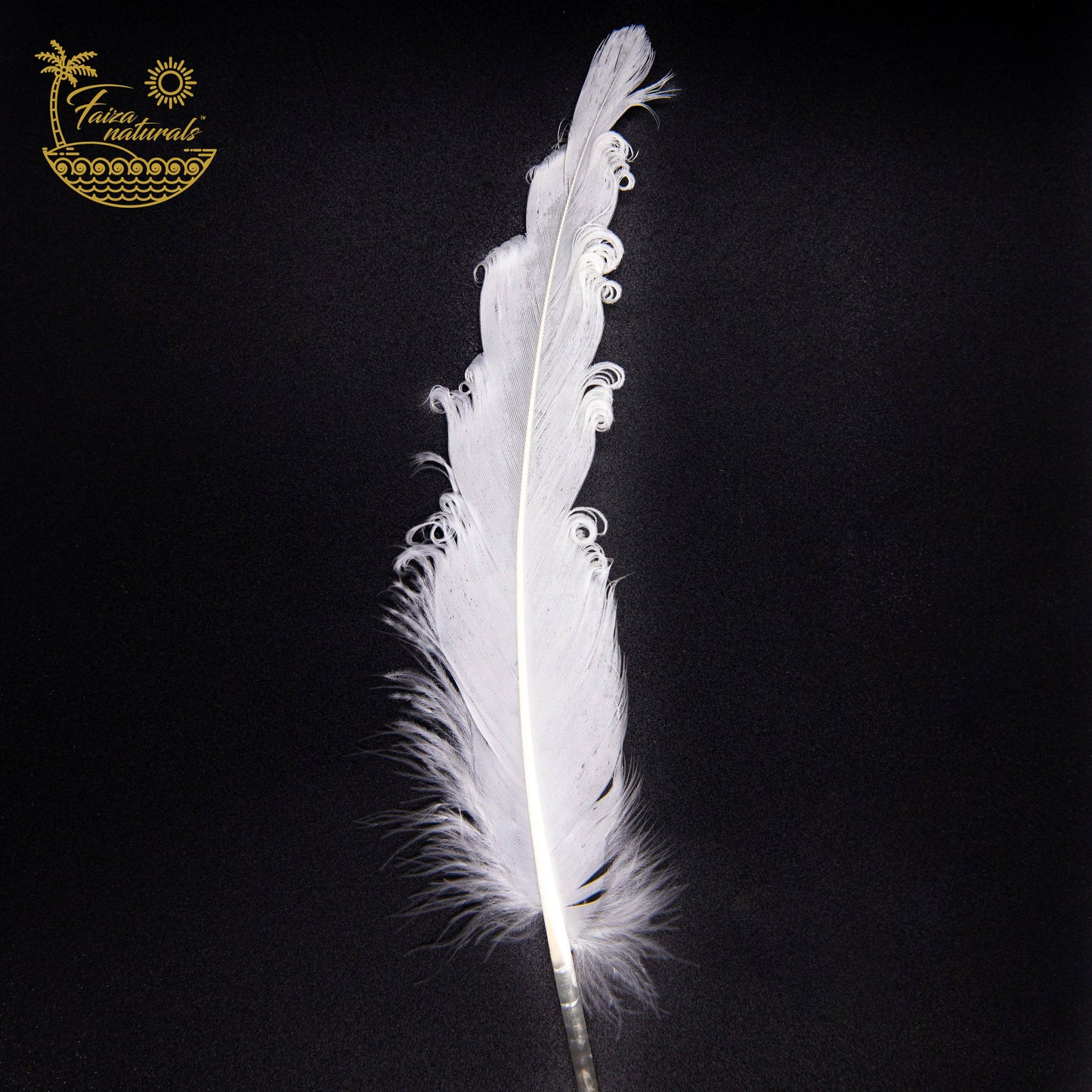 Goose Feathers- Smudging