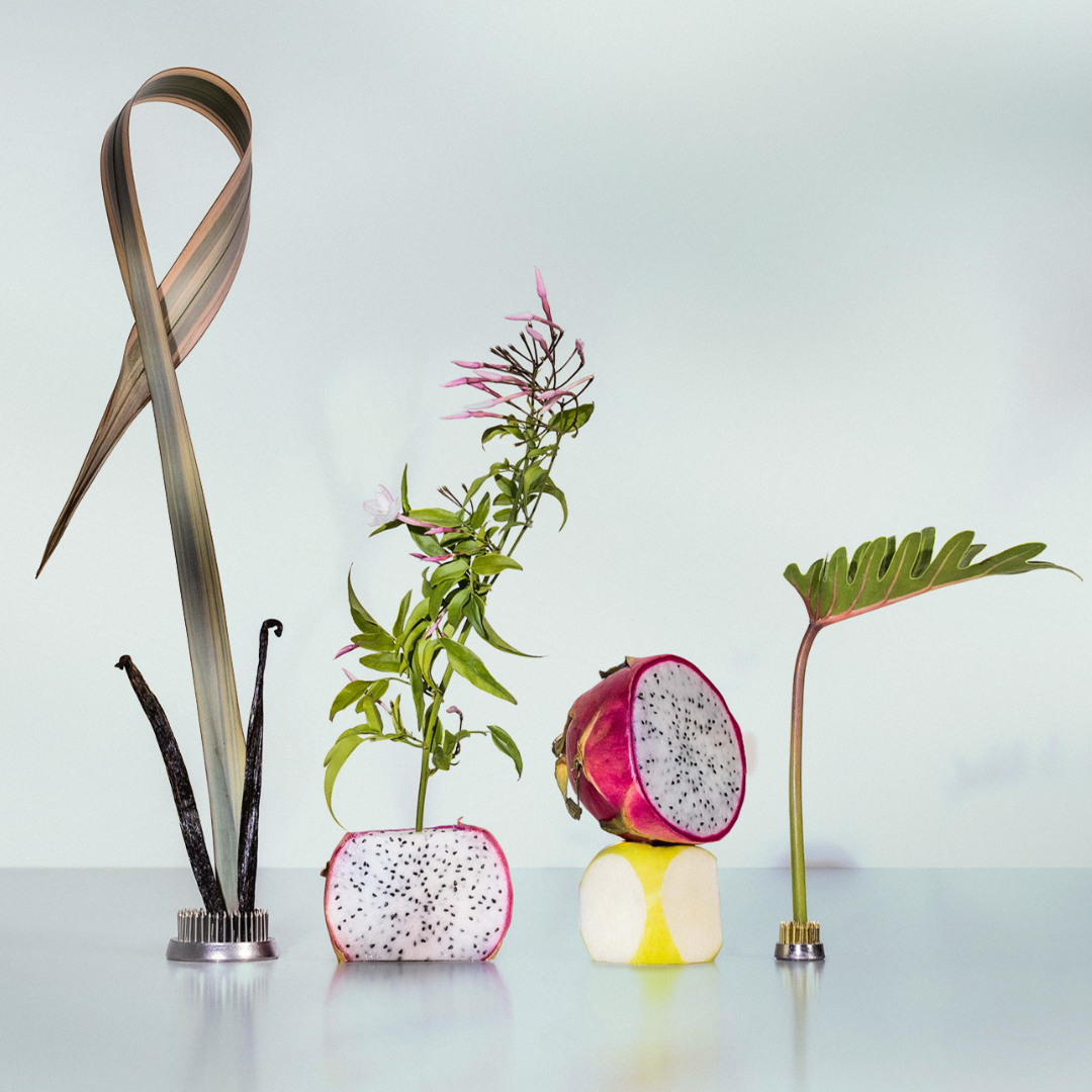 Pink Palm Travel Perfume