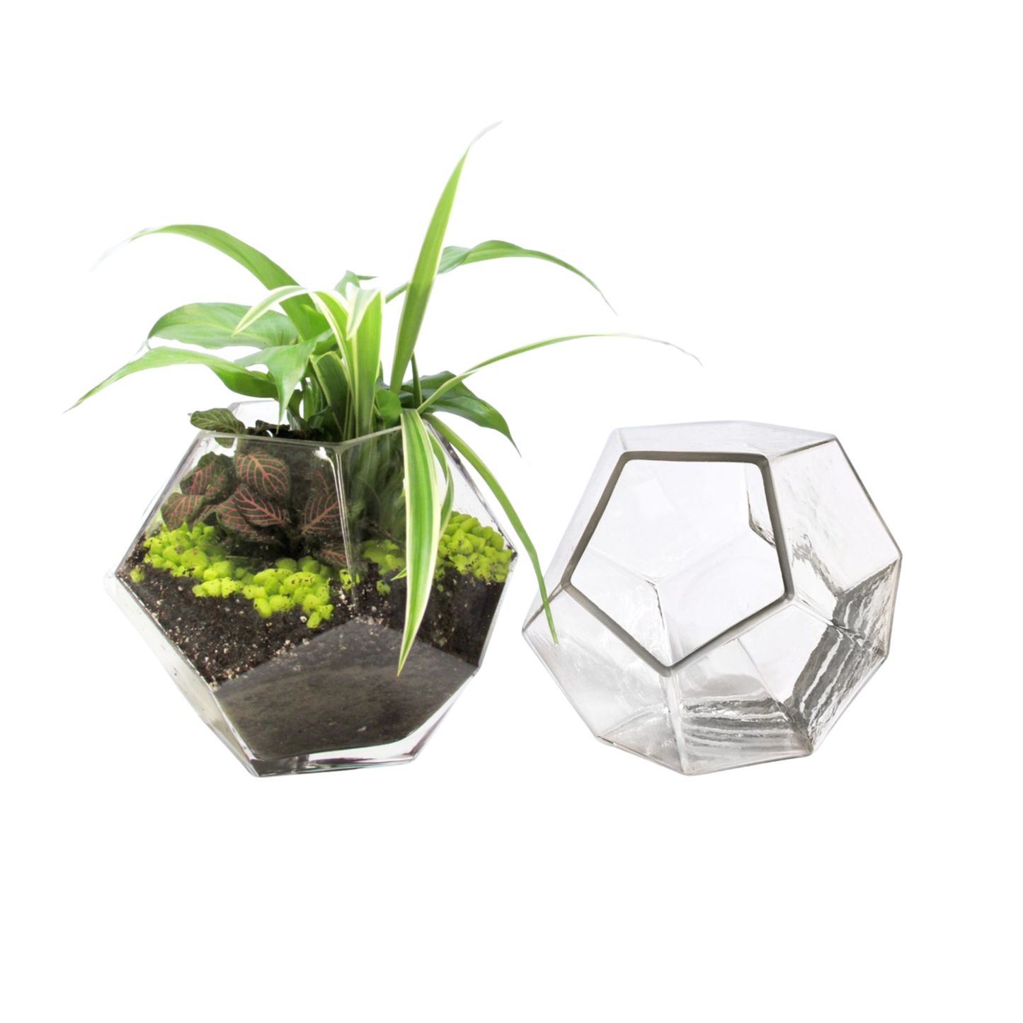 Geometric Terrarium Bowl