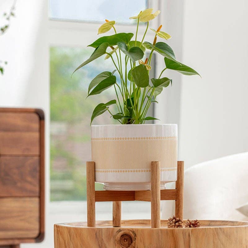 Cream Planter with stand