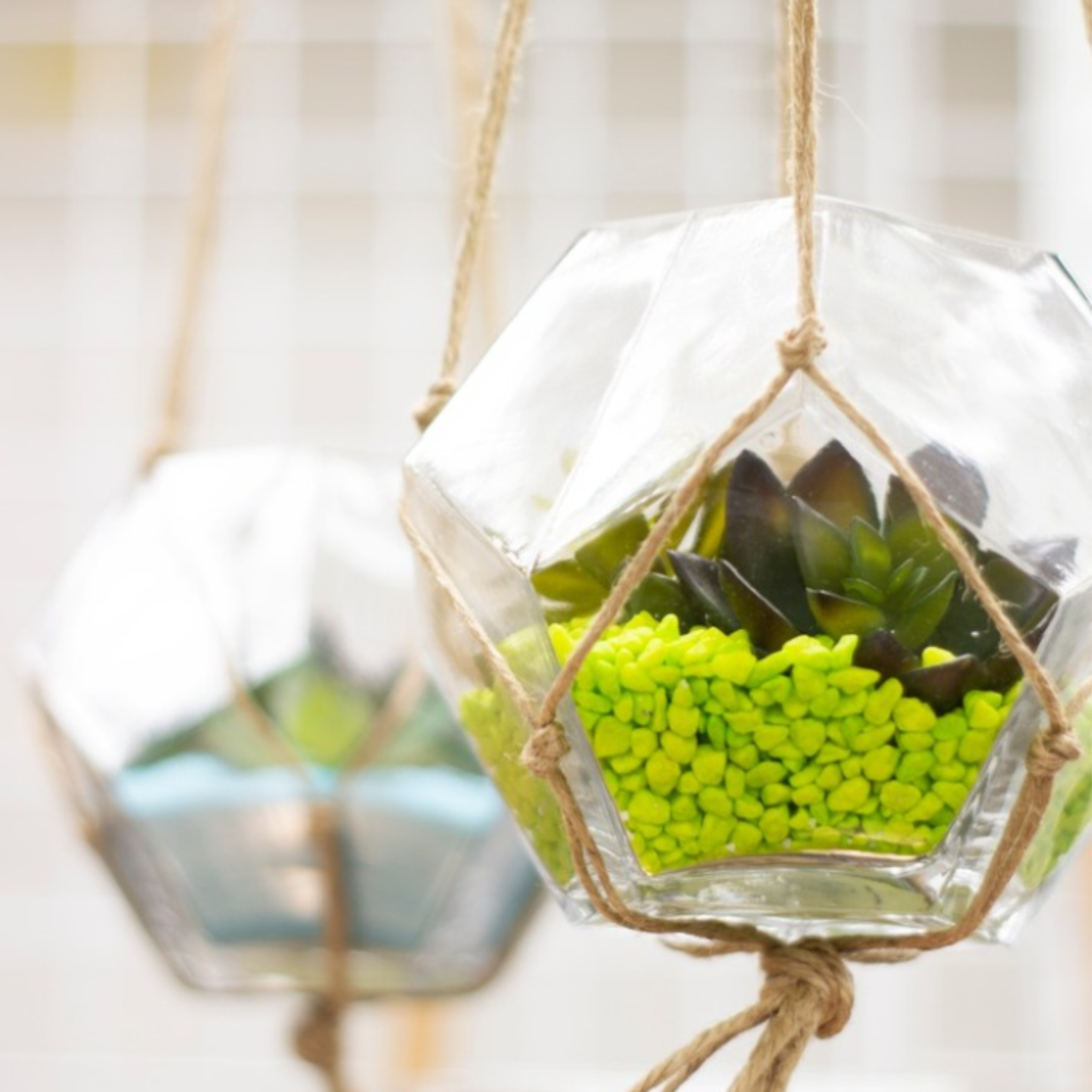 Geometric Terrarium Bowl