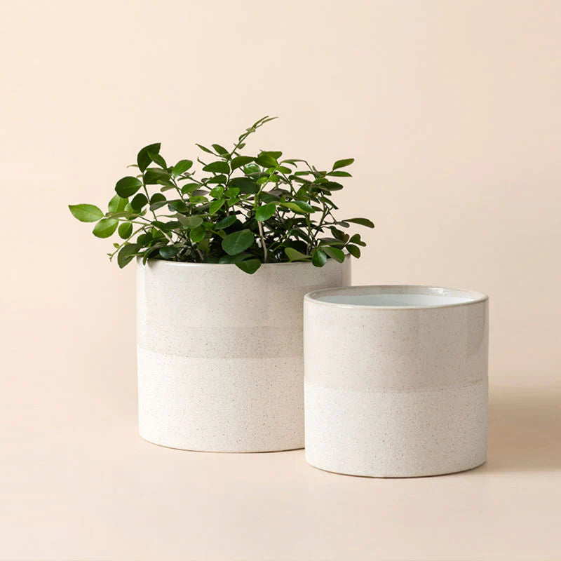 Vista White Textured Glaze Pot-Small 5.3"