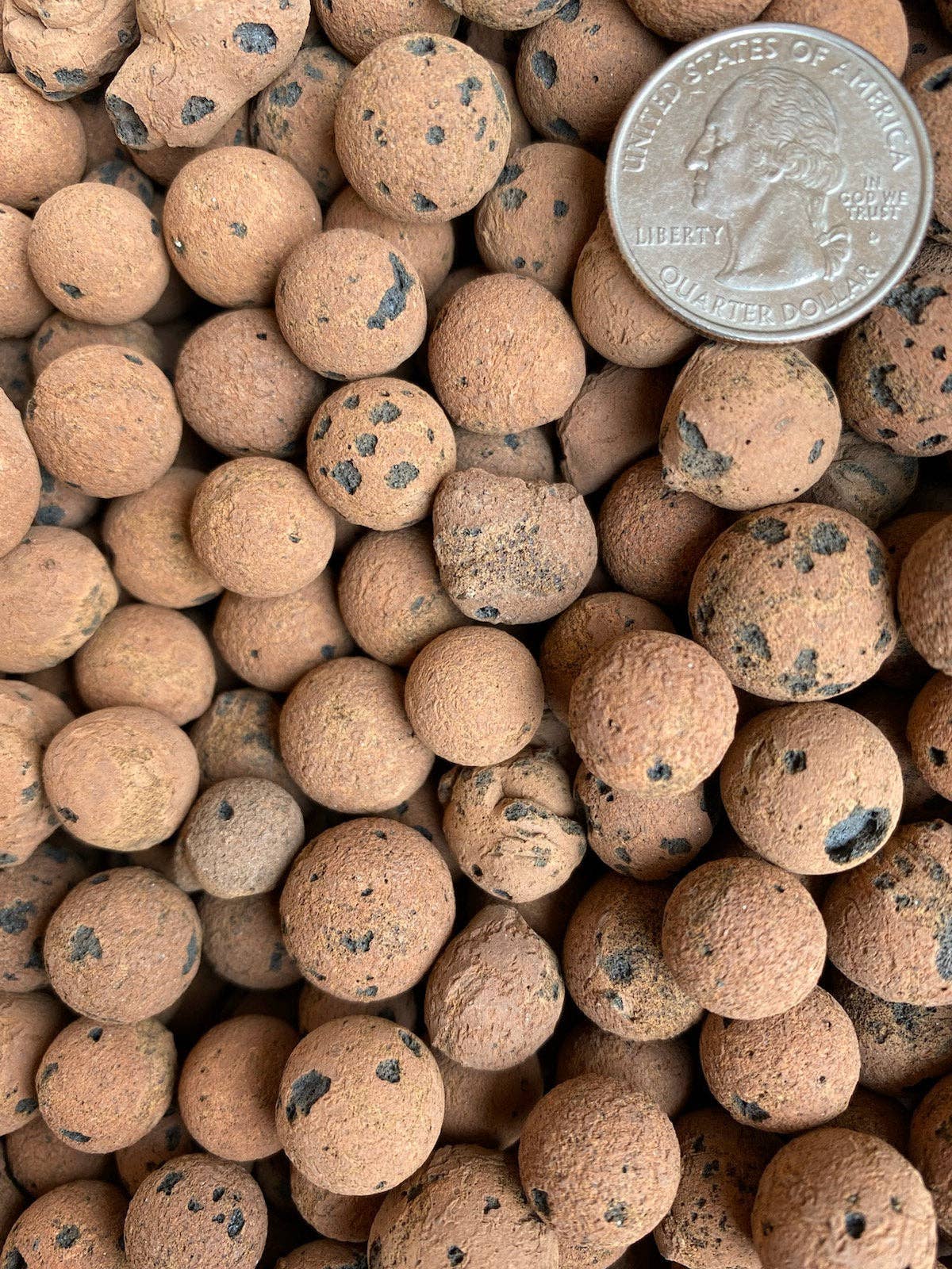 LECA Clay Balls