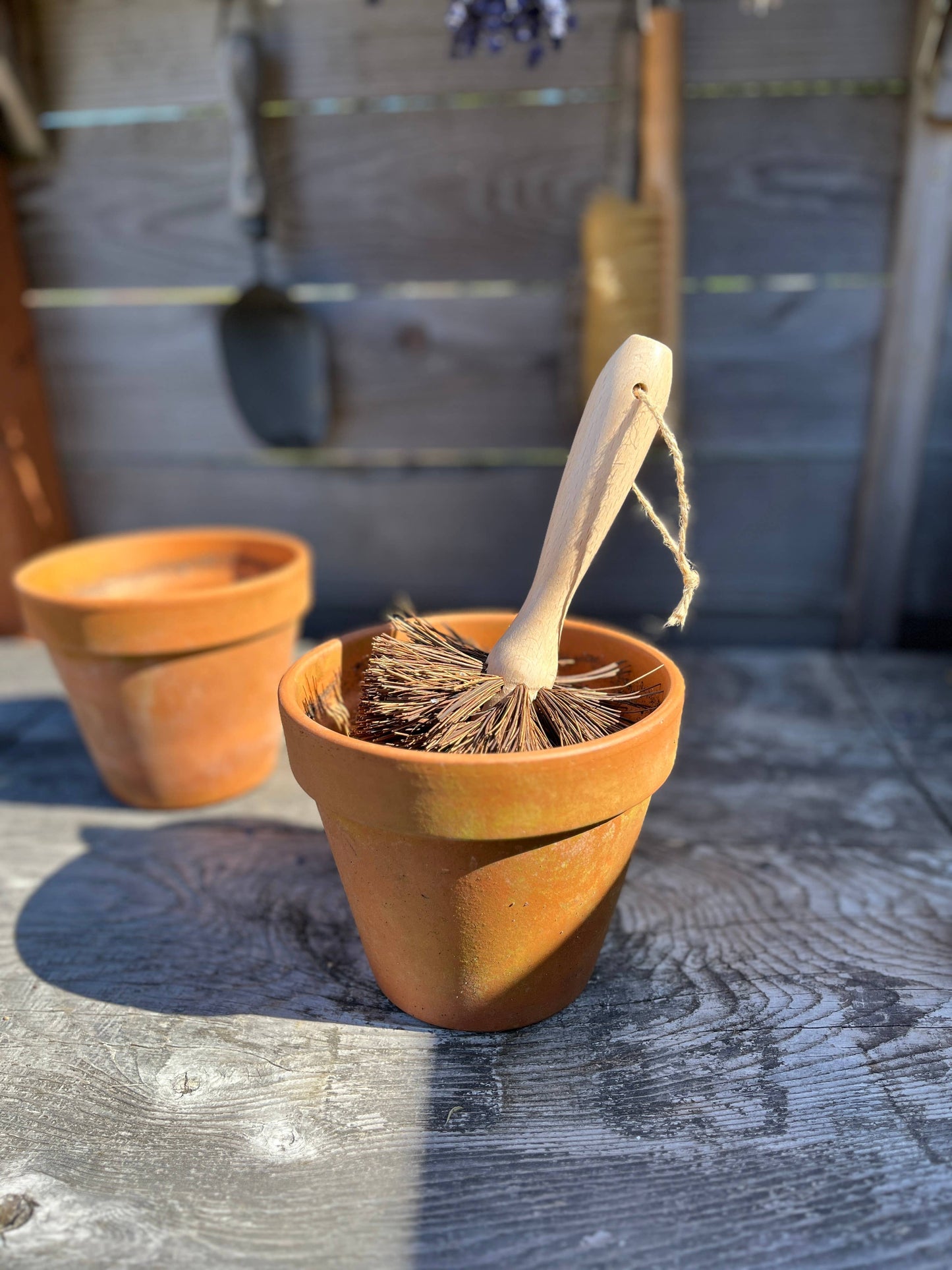 Plant Pot Cleaning Brush