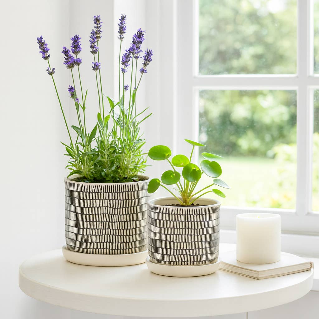 Ivory Pot with Black Lines