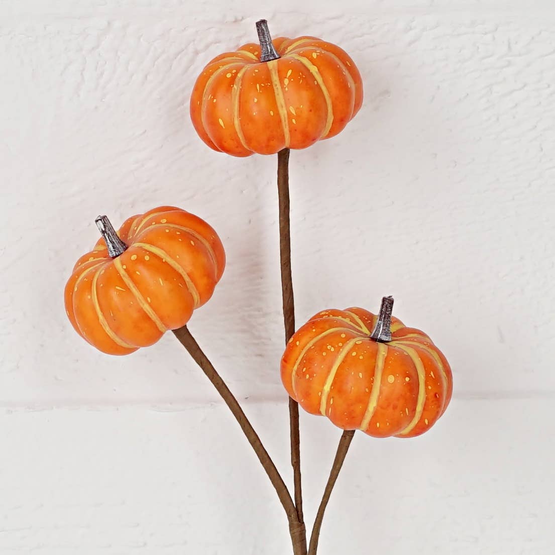 Mini Pumpkins Pick