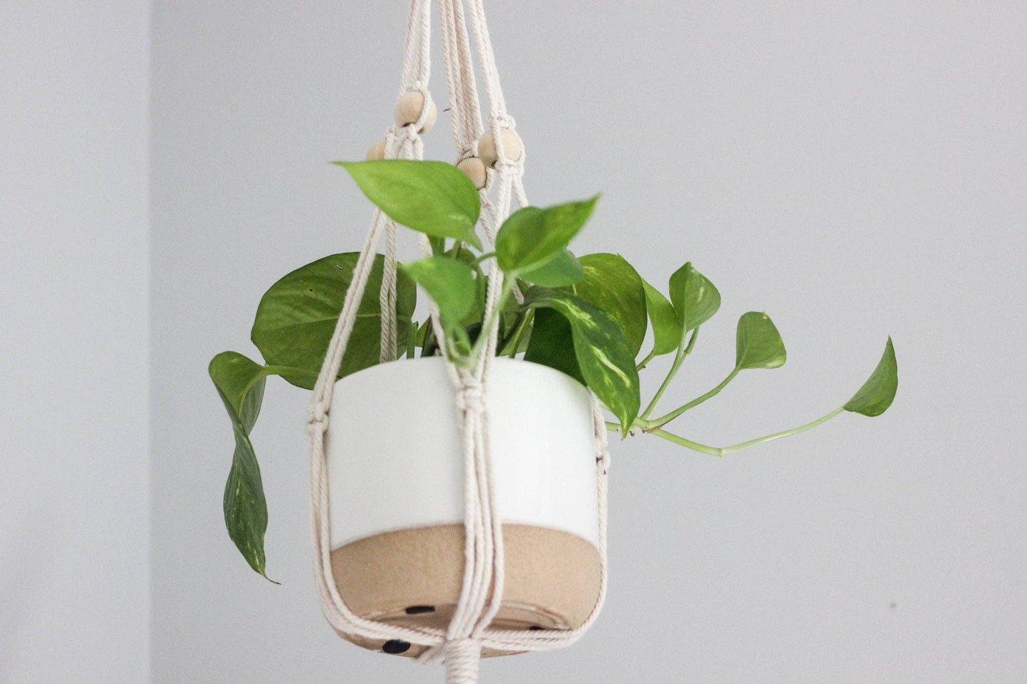 Small Ceramic Planter Pot White on Beige: 5"