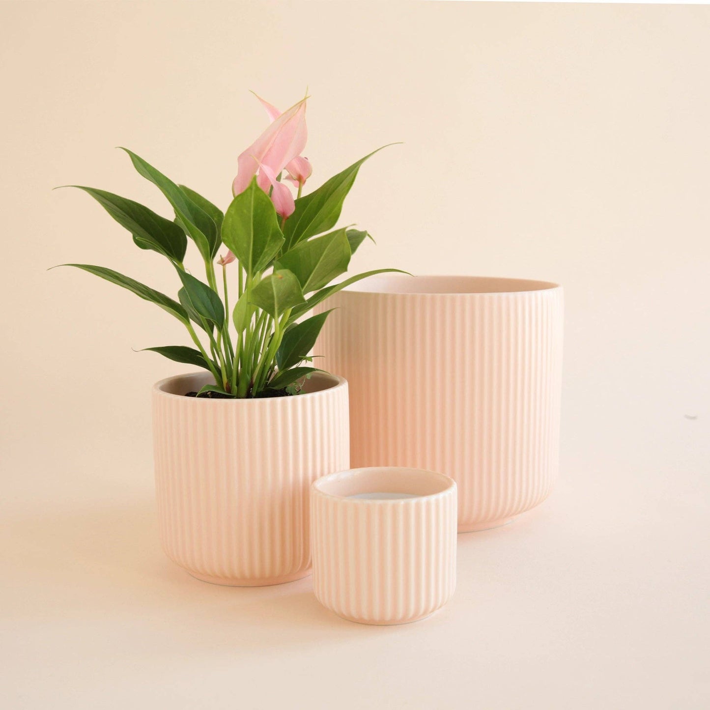 Lucy Planter 3"- light pink