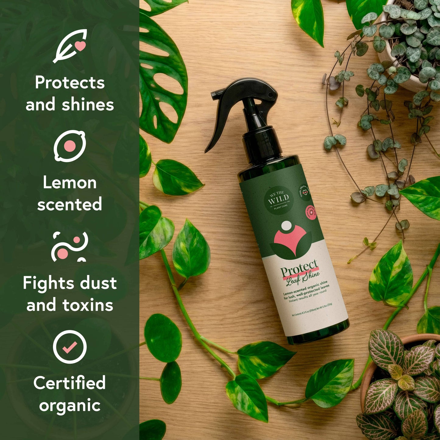 Pest & Shine Kit