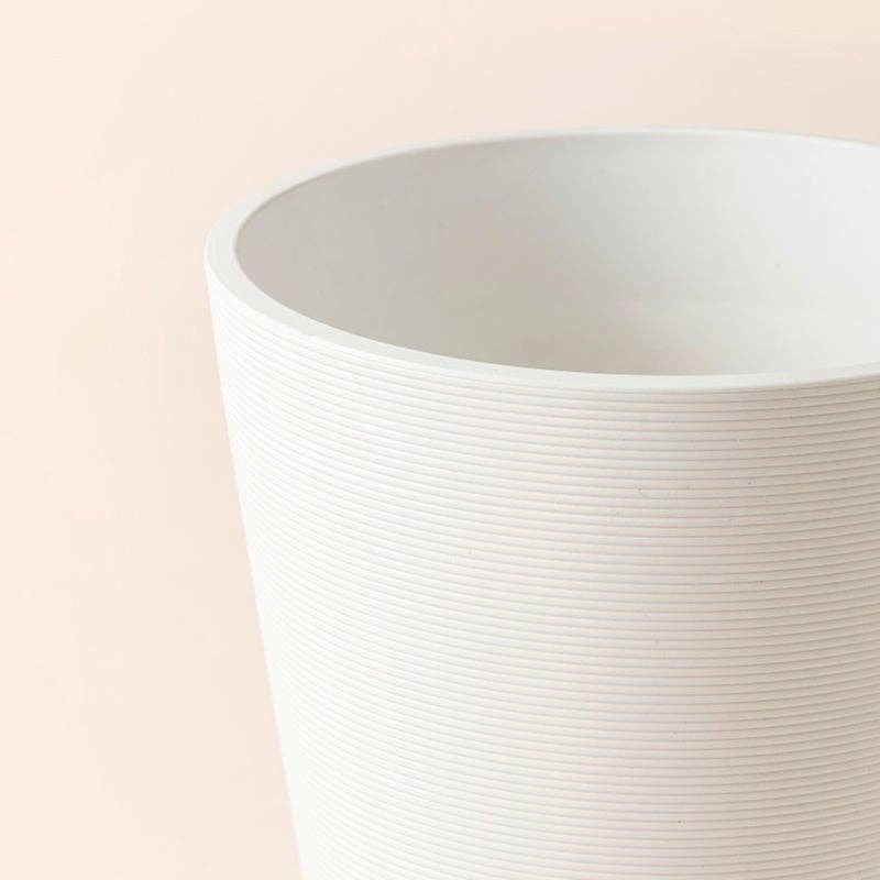 Matte White Pot - 8"