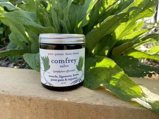 Herbal Salve- Comfrey