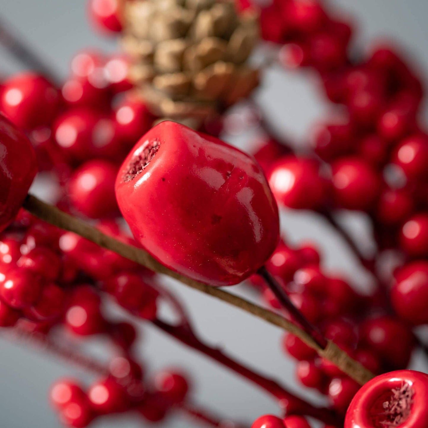 Red Berry & Pod Spray