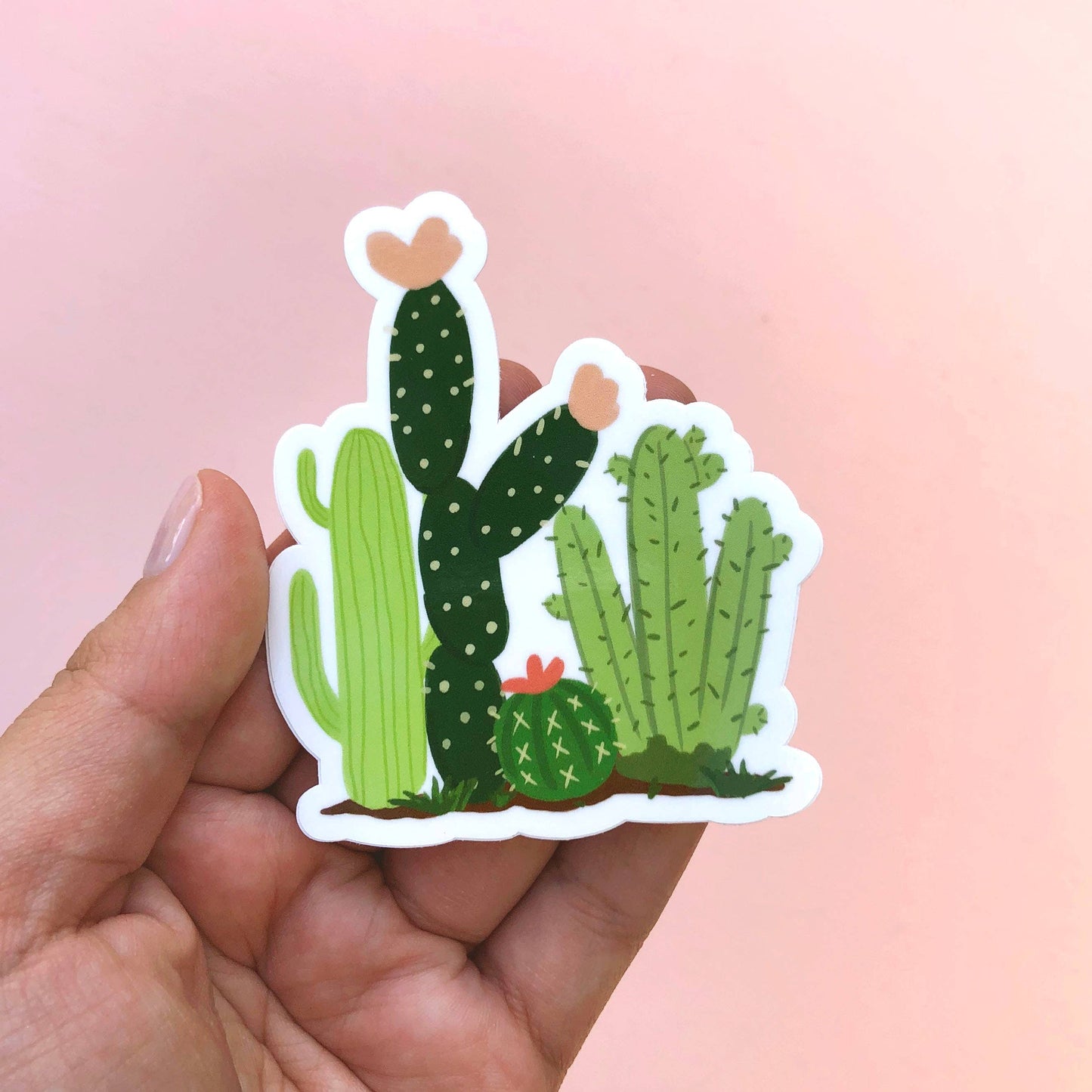 Cacti Sticker